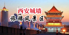 泄黄网站网址黑丝袜子中国陕西-西安城墙旅游风景区